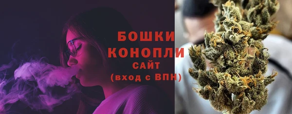 крисы Богородицк