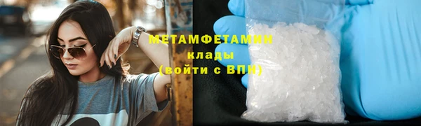 крисы Богородицк