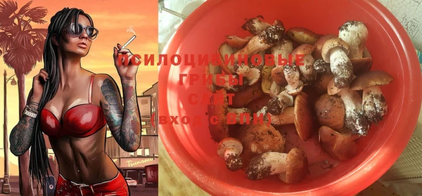 крисы Богородицк
