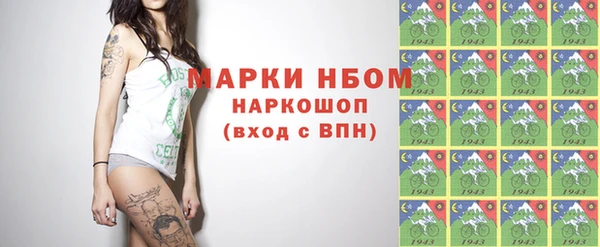 крисы Богородицк