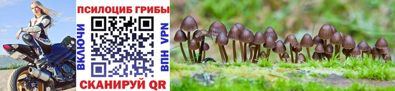Галлюциногенные грибы мухоморы  Верхняя Тура 